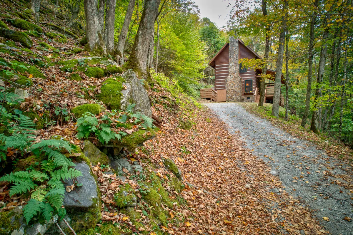 A tranquil exterior view featuring a cabin nestled among tall trees, with a leaf-covered pathway winding through vibrant fall foliage and rock formations. The scene conveys a welcoming and peaceful atmosphere, perfect for outdoor exploration and letting dogs roam safely.