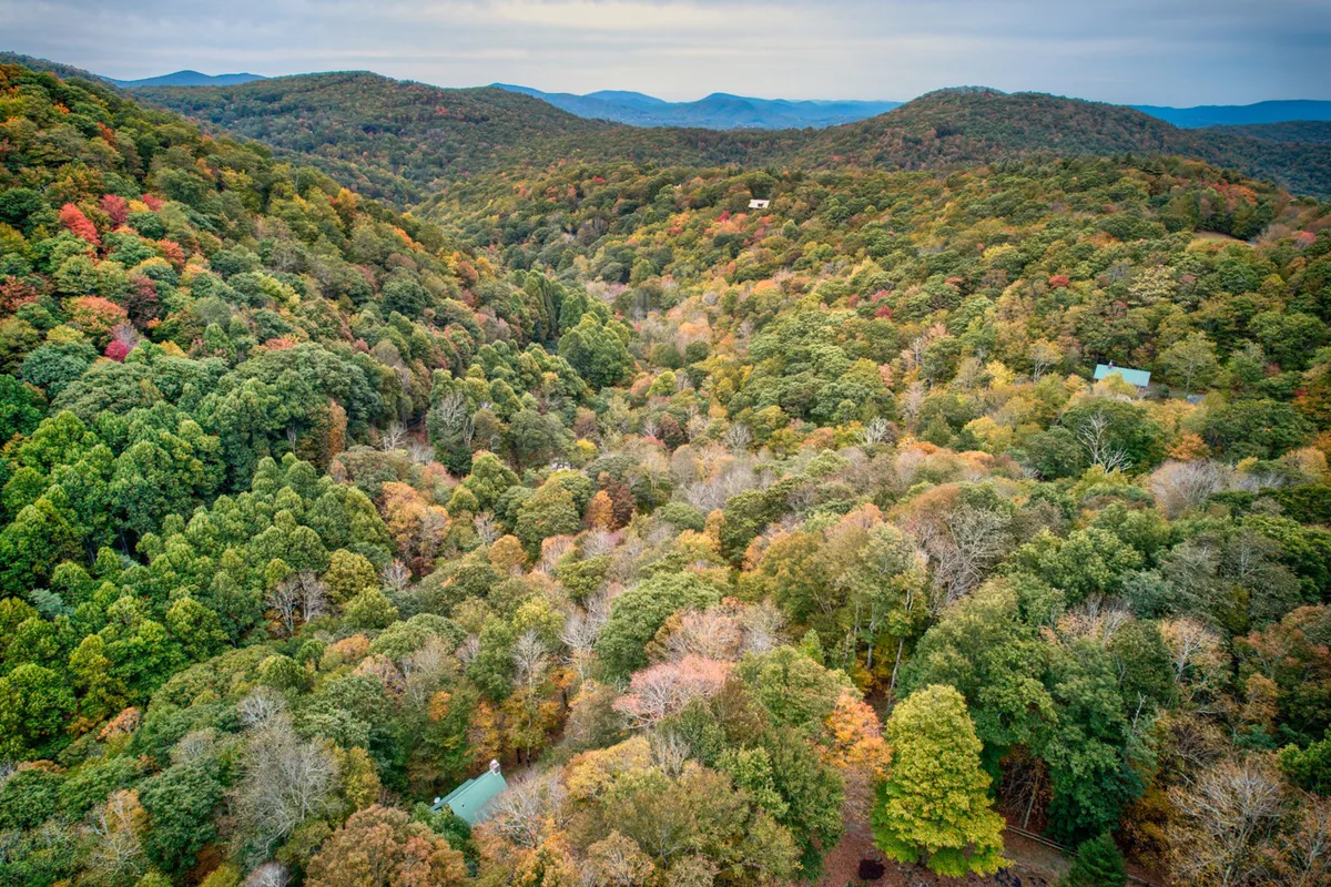 A panoramic view featuring vibrant fall foliage, distant rolling mountains, and an expansive open valley. The landscape invites outdoor activities like hiking and bird watching, and the natural beauty is perfectly suited for nature photography or simply soaking in tranquil moments.