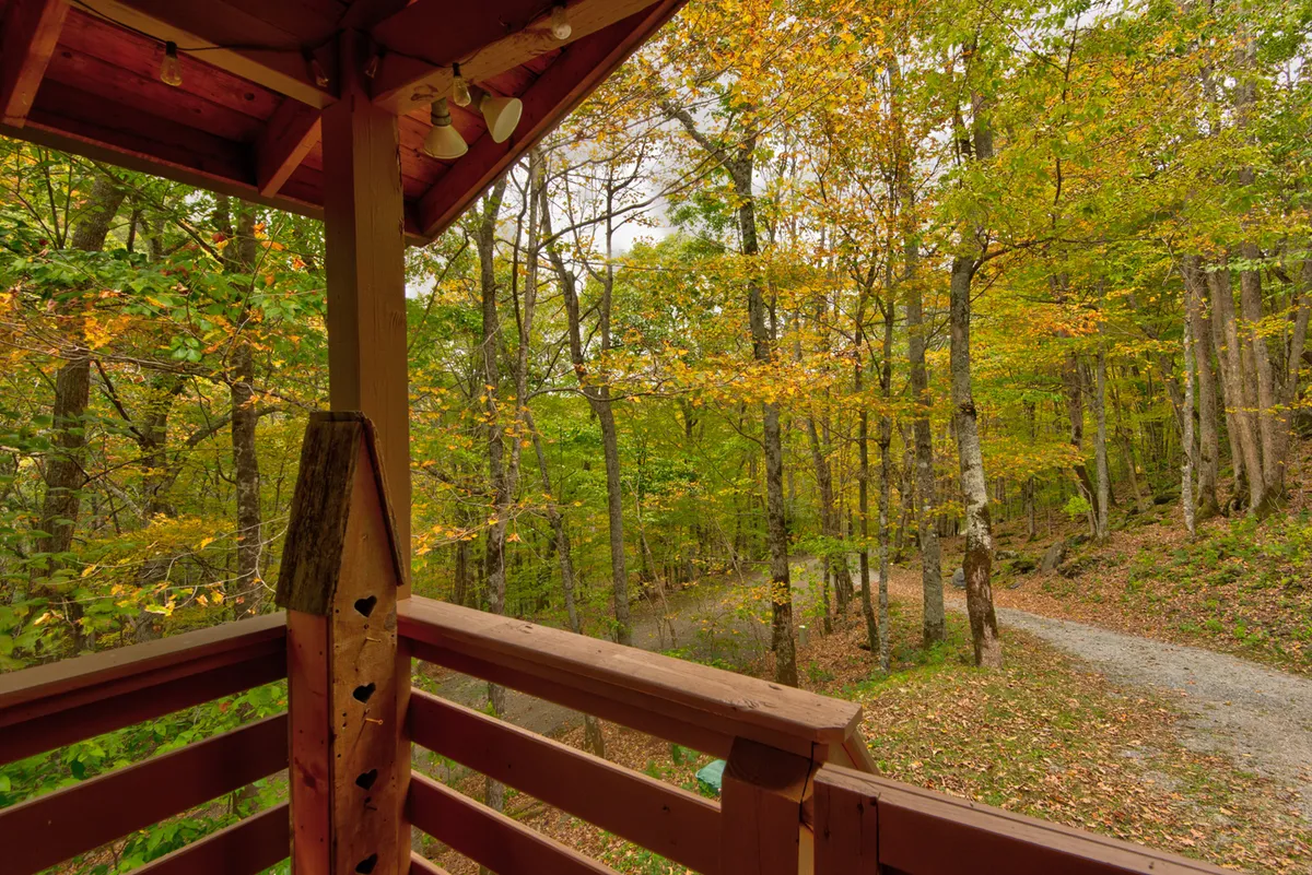 The image showcases a wooden railing bordering a lush, green area with a path winding through dense trees. The calm, natural setting invites relaxation and exploration, ideal for guests and their canine companions.