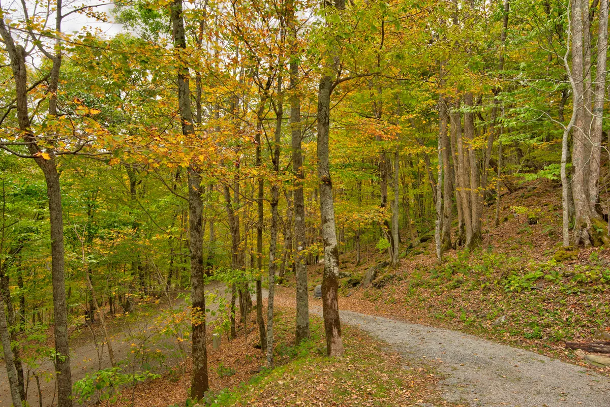 A serene exterior view of a gravel path winding through a forest filled with colorful autumn foliage and tall trees. The image radiates tranquility and immerses viewers in the seasonal beauty of the mountain environment, highlighting the adventure and natural splendor that surround Casa Haven.