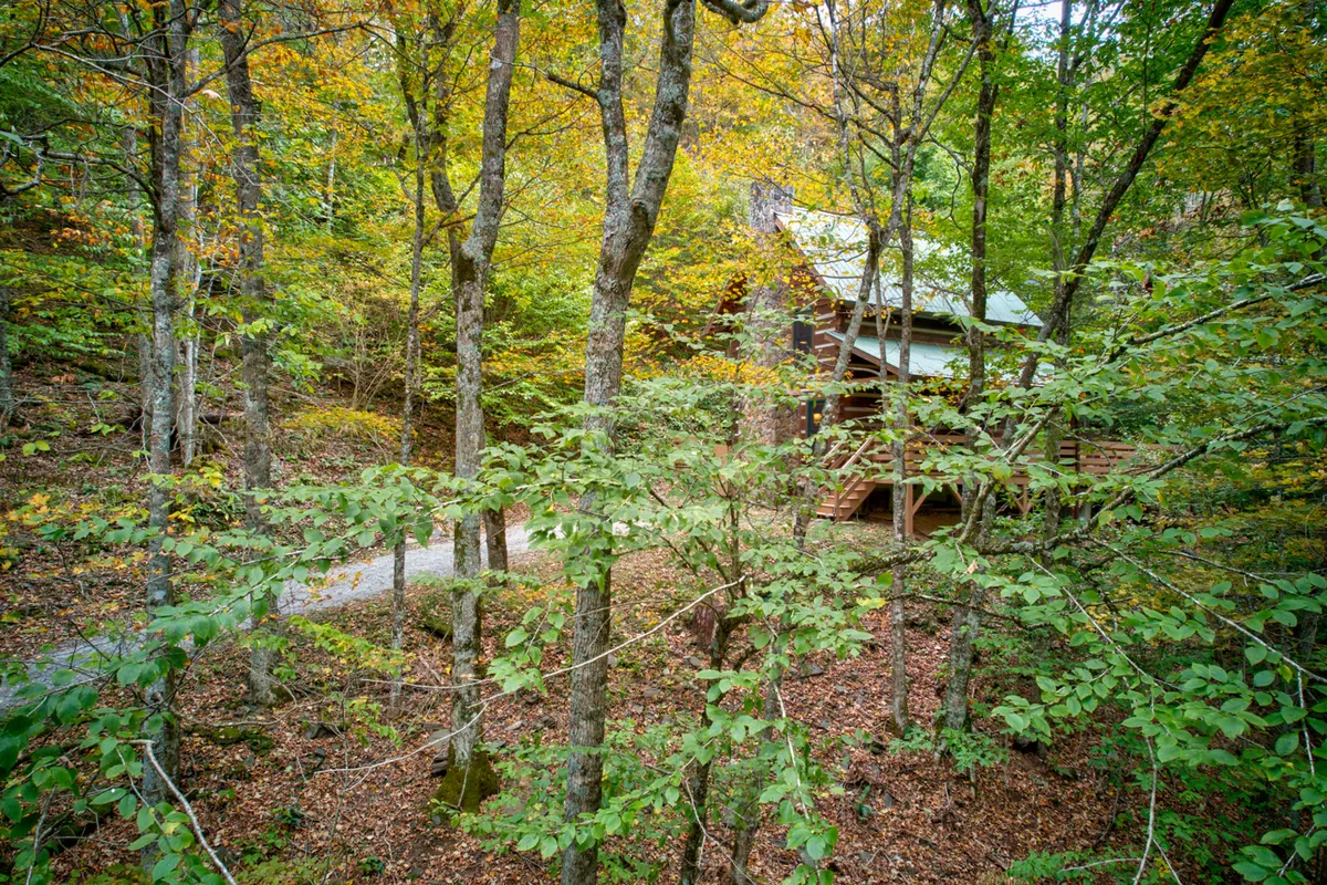 A rustic log cabin is nestled amidst a canopy of trees, with a winding pathway leading up to the entrance. The lush natural surroundings evoke a sense of seclusion and adventure, perfectly suited for hiking or nature walks. The peaceful ambiance is complemented by hints of autumn foliage and the warm color of the wood.